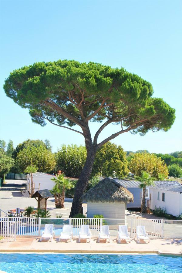 La Pinede Camping Grimaud Dış mekan fotoğraf